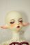 画像3: Gem of Doll/Aries A-26-06-22-293-NY-ZA (3)