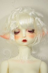 Gem of Doll/Aries A-26-06-22-294-NY-ZA
