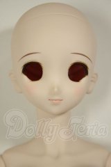DD/DDH-06メイク済ヘッド+DDdyボディ A-26-06-22-304-NY-ZA