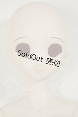 画像1: DD/DDH-06メイク済ヘッド+DDdyボディ A-26-06-22-304-NY-ZA