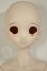 画像1: DD/DDH-06メイク済ヘッド+DDdyボディ A-26-06-22-304-NY-ZA (1)