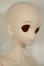 画像2: DD/DDH-06メイク済ヘッド+DDdyボディ A-26-06-22-304-NY-ZA (2)