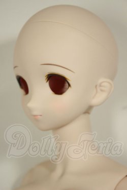 画像3: DD/DDH-06メイク済ヘッド+DDdyボディ A-26-06-22-304-NY-ZA