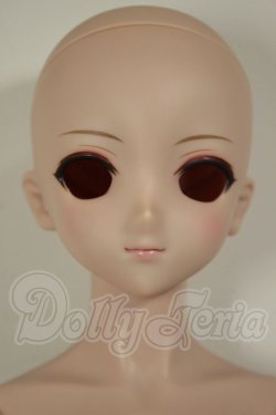 画像1: DD/DDH-09ヘッド+ベースボディDD-f3 A-26-06-22-303-NY-ZA