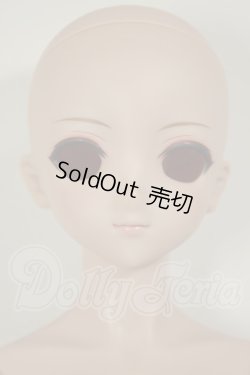 画像1: DD/DDH-09ヘッド+ベースボディDD-f3 A-26-06-22-303-NY-ZA