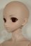 画像3: DD/DDH-09ヘッド+ベースボディDD-f3 A-26-06-22-303-NY-ZA (3)