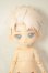 画像1: SIMONTOYS　ペテルソン園遊会/ネコ A-26-06-29-144-NY-ZA (1)