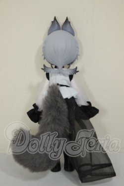 画像3: ルルリン物語2/天骨狼 A-26-06-29-164-NY-ZA