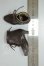 画像2: SDM＆MSD/OF:靴 A-26-06-29-118-NY-ZA (2)