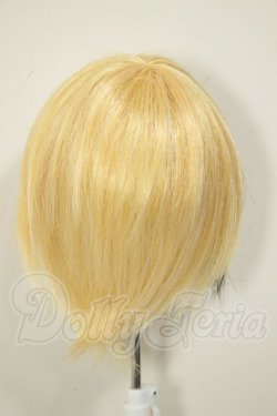 画像2: 9-10inch/ウィッグ A-26-06-29-209-NY-ZA