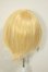 画像2: 9-10inch/ウィッグ A-26-06-29-209-NY-ZA (2)