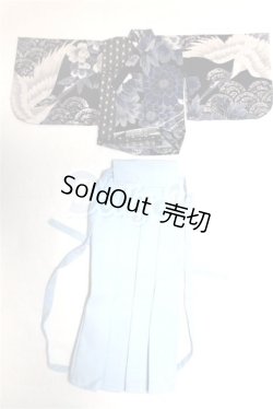 画像1: SDM＆MSD/OF:衣装セット A-26-07-21-069-NY-ZA
