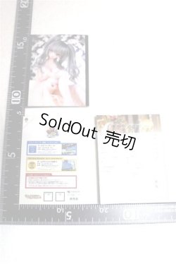 画像2: SD/豆本 A-26-07-21-098-NY-ZA
