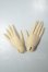 画像1: Gem of Doll/1/4 Girl&Boy Jointed Hand A-26-07-06-104-NY-ZA (1)