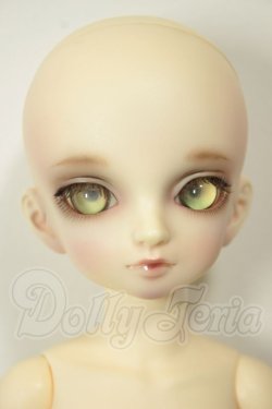 画像1: OCEANMOON/ChongLan A-26-10-26-101-NY-ZA