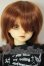 画像1: MSDBOY/フルチョイス F-31 A-26-07-06-159-NY-ZA (1)