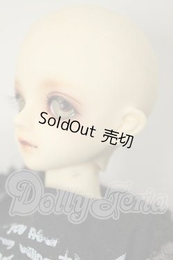 画像4: MSDBOY/フルチョイス F-31 A-26-07-06-159-NY-ZA