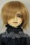 画像1: MSD/シン A-26-07-06-158-NY-ZA (1)