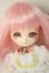 画像1: オビツ11ボディ/DC11-04カスタムヘッド A-26-07-06-306-NY-ZA (1)