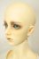 画像4: MIGI DOLL /Style65 Nova A-26-07-06-151-NY-ZA (4)