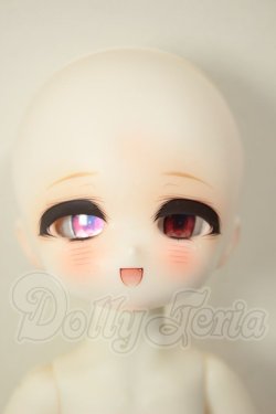 画像1: TinyFox/夕暮れ子猫 カサンドラ A-26-07-06-252-NY-ZA