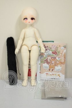 画像5: TinyFox/夕暮れ子猫 カサンドラ A-26-07-06-252-NY-ZA