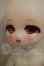 画像6: TinyFox/夕暮れ子猫 カサンドラ A-26-07-06-252-NY-ZA (6)