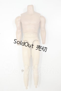 画像1: 1/6アクションフィギュア/男性ボディ A-26-07-20-388-NY-ZA
