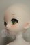 画像4: PUYOO DOLL/KUMAKO Toy Symphony ver. Limited A-26-07-13-255-NY-ZA (4)