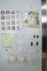 画像3: Meki Creator's Essence/造物之心:Daisy A-26-07-13-124-NY-ZA (3)