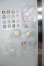 画像3: Meki Creator's Essence/造物之心:Peonia A-26-07-13-123-NY-ZA (3)