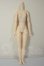 画像1: オビツ製作所/オビツボディver.2 ホワイティ 26cm バストM A-26-07-13-115-NY-ZA (1)