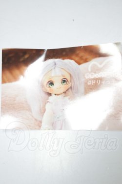 画像4: PARABOX/カスタムヘッド:ヒカリヘッド PB-1104 A-26-07-13-113-NY-ZA