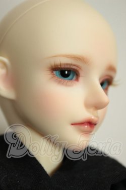 画像3: Dollsn/Andy DollOrange ver. A-26-07-13-136-NY-ZA