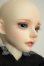 画像3: Dollsn/Andy DollOrange ver. A-26-07-13-136-NY-ZA (3)