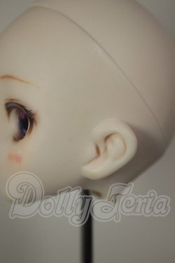 画像5: DD/DDH-10 (カスタマー様)カスタムヘッド A-26-08-10-204-NY-ZA