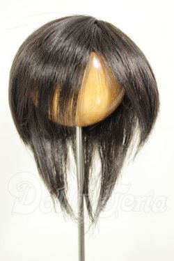 画像1: 8-9inch/ウィッグ A-26-07-20-225-NY-ZA