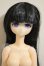 画像1: AZONE/プリム〜東方花鳥風月〜（TSUBAKIver．） A-26-09-21-263-NY-ZA (1)
