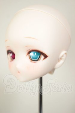 画像3: DD/DDH-27 (カスタマー様)カスタムヘッド A-26-07-20-110-NY-ZA
