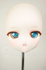 DD/DDH-27 (カスタマー様)カスタムヘッド A-26-07-20-118-NY-ZA