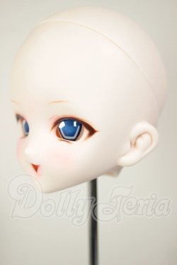 画像3: DD/DDH-10 (カスタマー様)カスタムヘッド A-26-07-20-112-NY-ZA