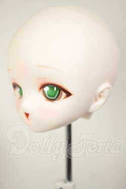 画像4: DD/DDH-01 (カスタマー様)カスタムヘッド A-26-07-20-115-NY-ZA