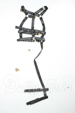 画像1: DDP/ハーネス A-26-07-20-194-NY-ZA