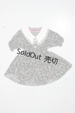 画像1: SDM/OF:ワンピース　MELODY.C様製 A-26-07-20-178-NY-ZA