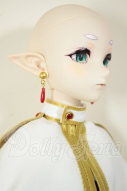 画像4: DDS/?フリーレン A-26-08-10-301-NY-ZA