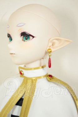 画像5: DDS/?フリーレン A-26-08-10-301-NY-ZA