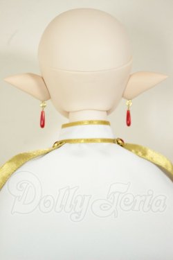 画像6: DDS/?フリーレン A-26-08-10-301-NY-ZA