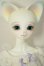 画像2: DEARMINE/My Sweetdays ANGELA A-26-07-27-102-NY-ZA (2)
