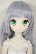 MDD/ドリームチョイス　DC-H-21+もちあしボディ A-26-07-27-103-NY-ZA