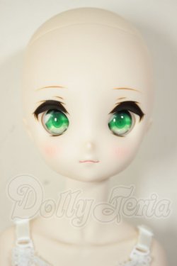 画像2: MDD/ドリームチョイス　DC-H-21+もちあしボディ A-26-07-27-103-NY-ZA